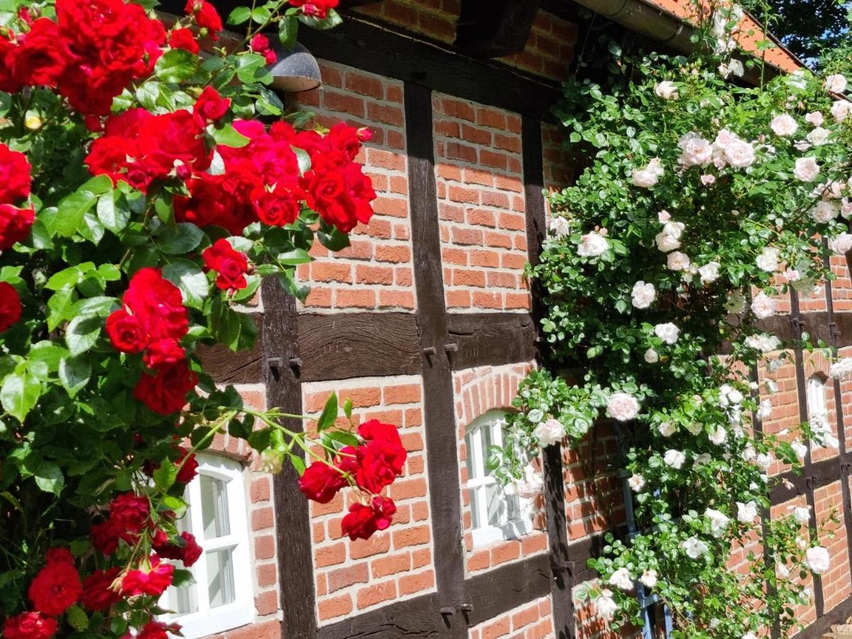 Gaestehaus Am Kattensteert Borchel Exteriér fotografie